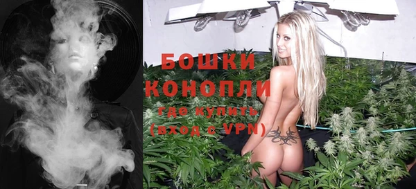 ПСИЛОЦИБИНОВЫЕ ГРИБЫ Костерёво