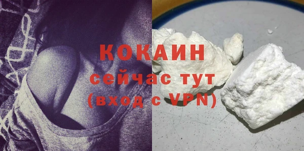 шишки Корсаков