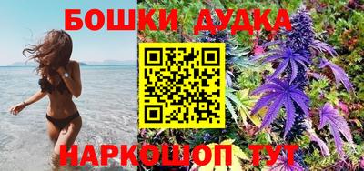 мдма Новодвинск