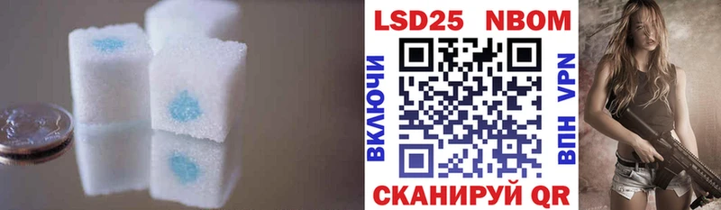 blacksprut даркнет Telegram Лсд 25 экстази кислота Борисоглебск