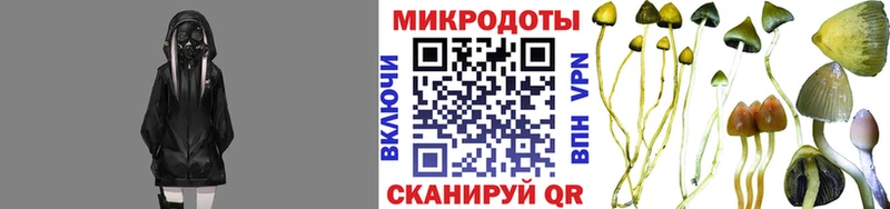 Галлюциногенные грибы MAGIC MUSHROOMS  Борисоглебск 