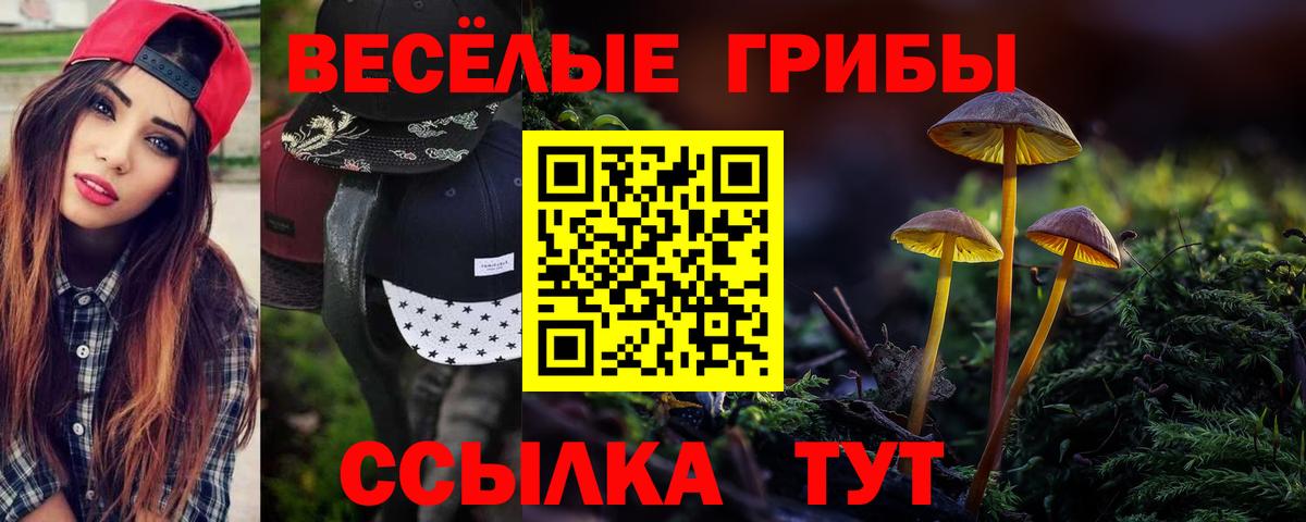 Псилоцибиновые грибы Psilocybe Борисоглебск